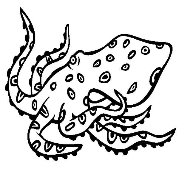 Blue Ringed Octopus coloring #18, Download drawings