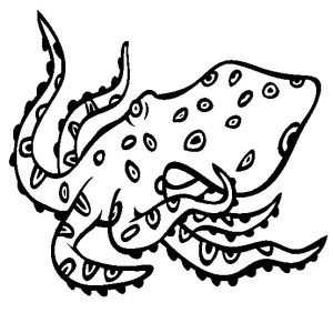 Blue Ringed Octopus coloring #19, Download drawings