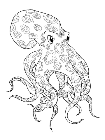 Blue Ringed Octopus coloring #11, Download drawings