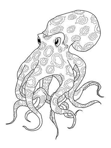 Blue Ringed Octopus svg #14, Download drawings