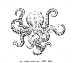 Blue Ringed Octopus svg #11, Download drawings