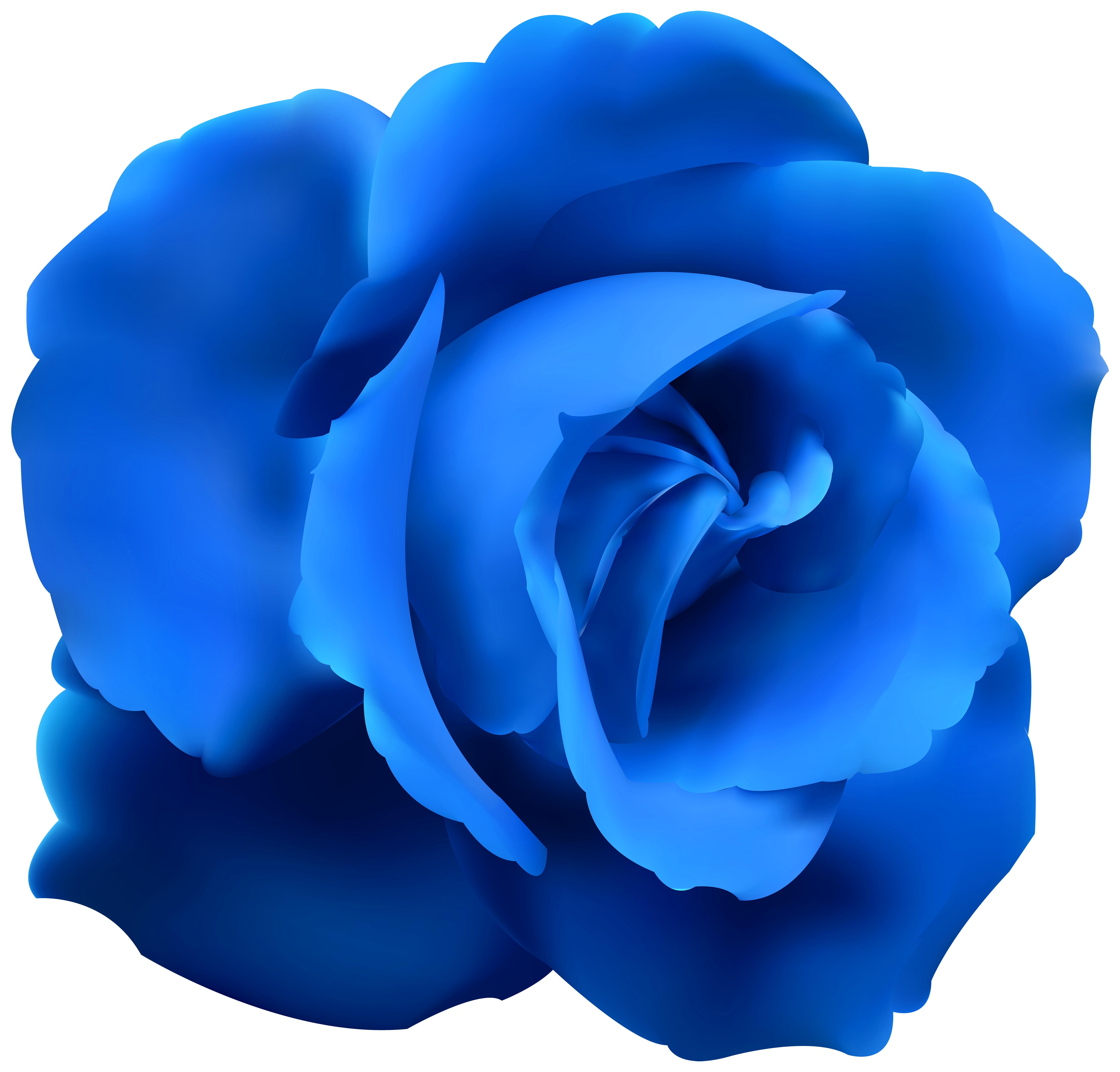 Blue Rose clipart #3, Download drawings