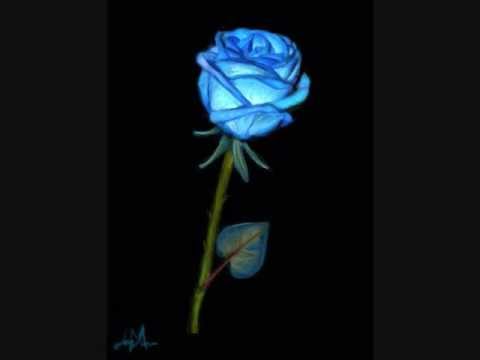 Blue Rose coloring #17, Download drawings
