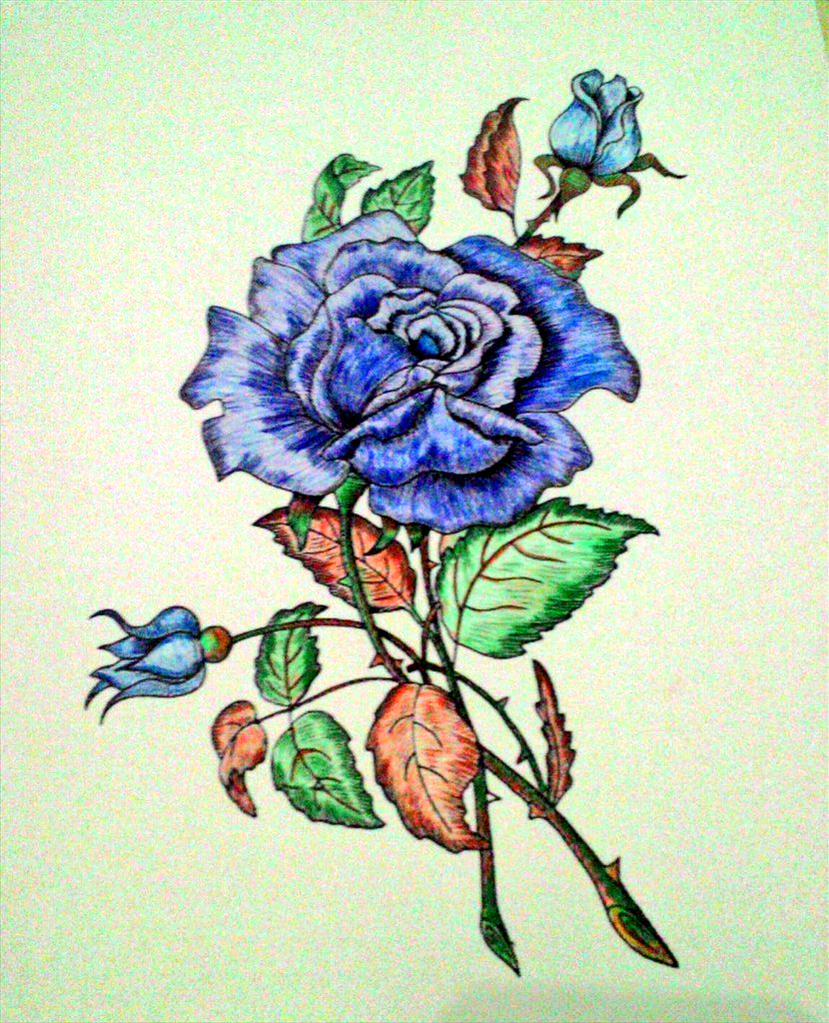 Blue Rose coloring #5, Download drawings