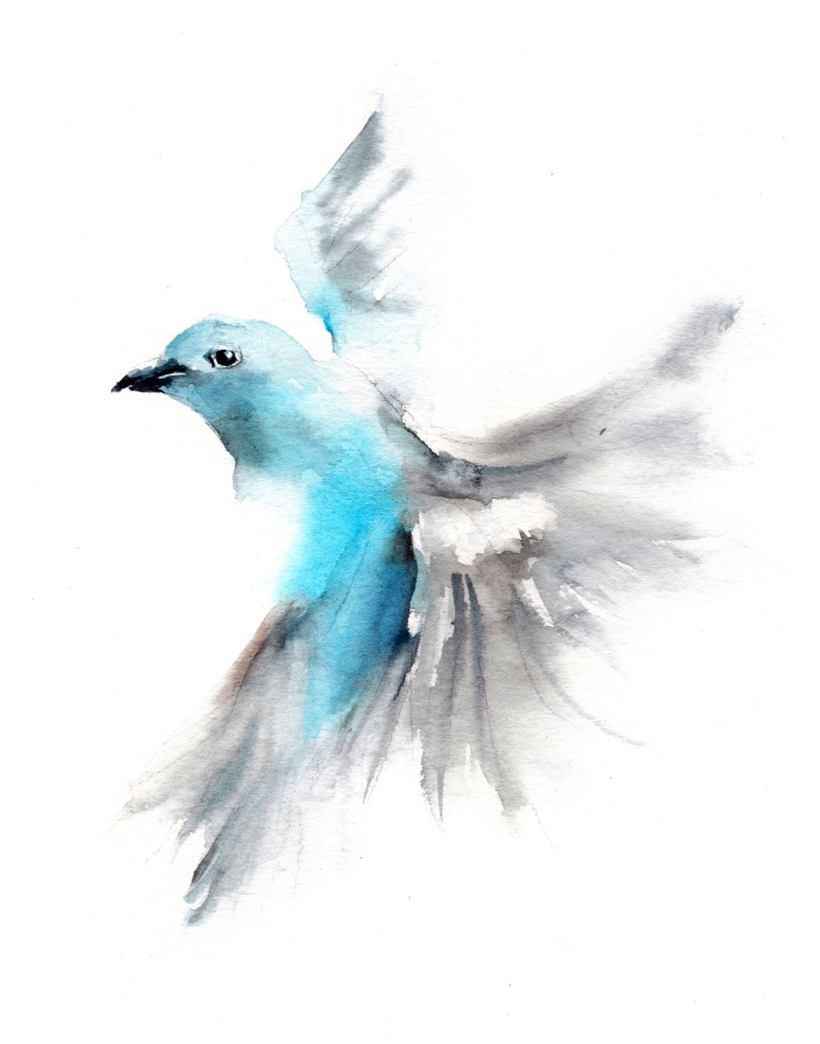 Blue Tanager coloring #7, Download drawings