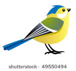 Blue Tit clipart #9, Download drawings