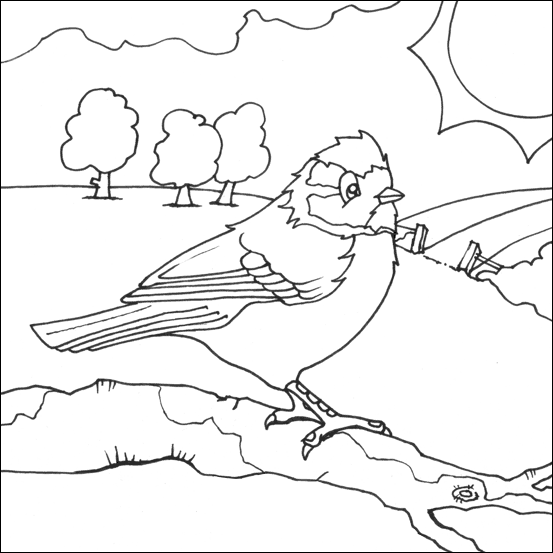 Blue Tit coloring #20, Download drawings