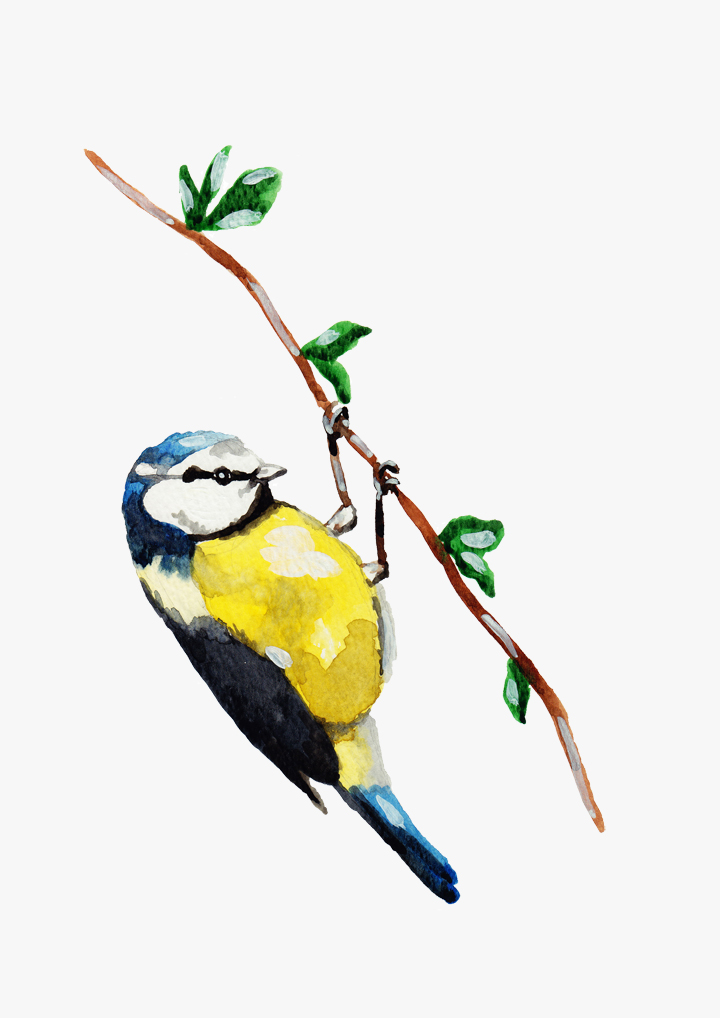 Blue Tit svg #16, Download drawings