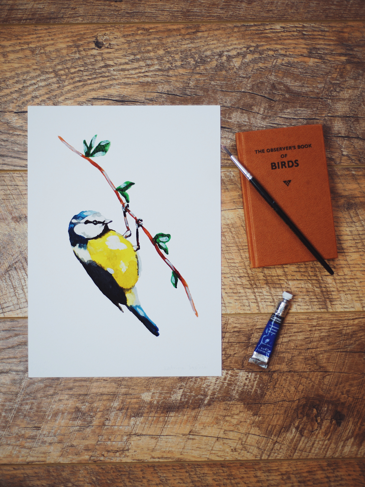 Blue Tit svg #12, Download drawings
