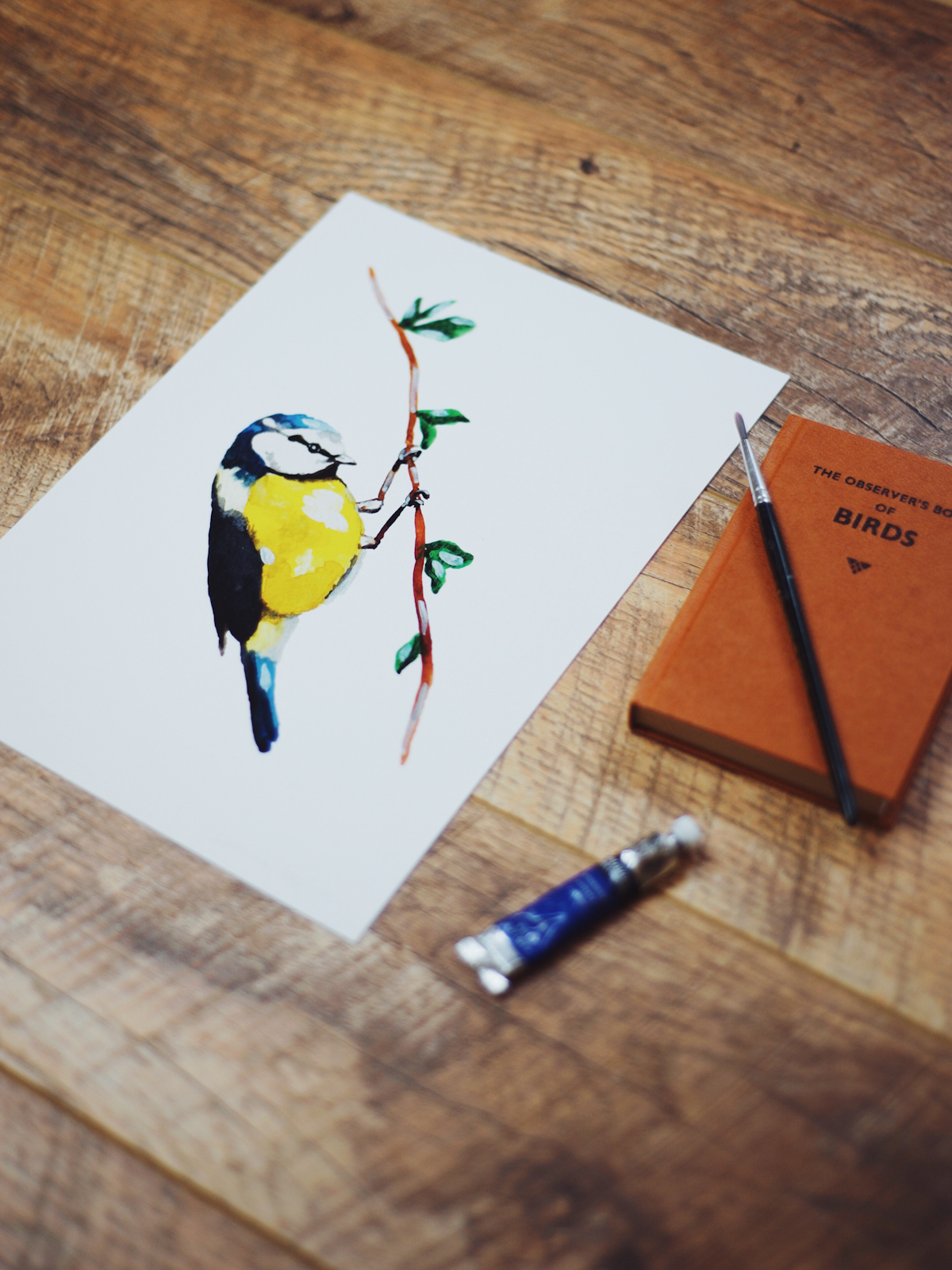 Blue Tit svg #13, Download drawings