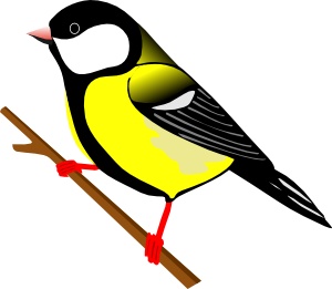 Blue Tit svg #19, Download drawings