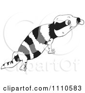 Blue-Tongue Skink clipart #12, Download drawings