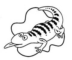 Blue Tongue Lizard clipart #9, Download drawings