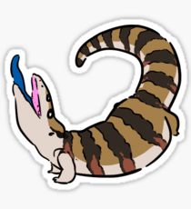 Blue-Tongue Skink clipart #11, Download drawings