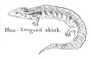 Blue Tongue Lizard coloring #16, Download drawings