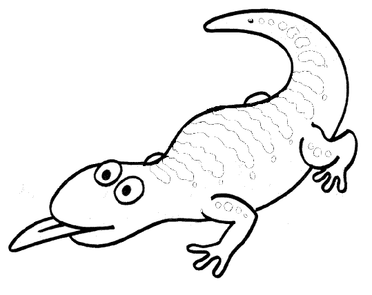 Blue Tongue Lizard coloring #5, Download drawings