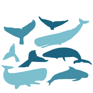 Blue Whale svg #5, Download drawings