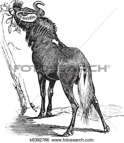 Blue Wildebeest clipart #6, Download drawings