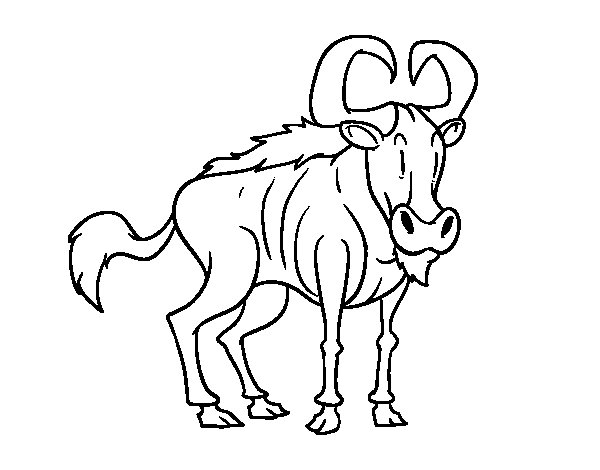 Blue Wildebeest coloring #4, Download drawings
