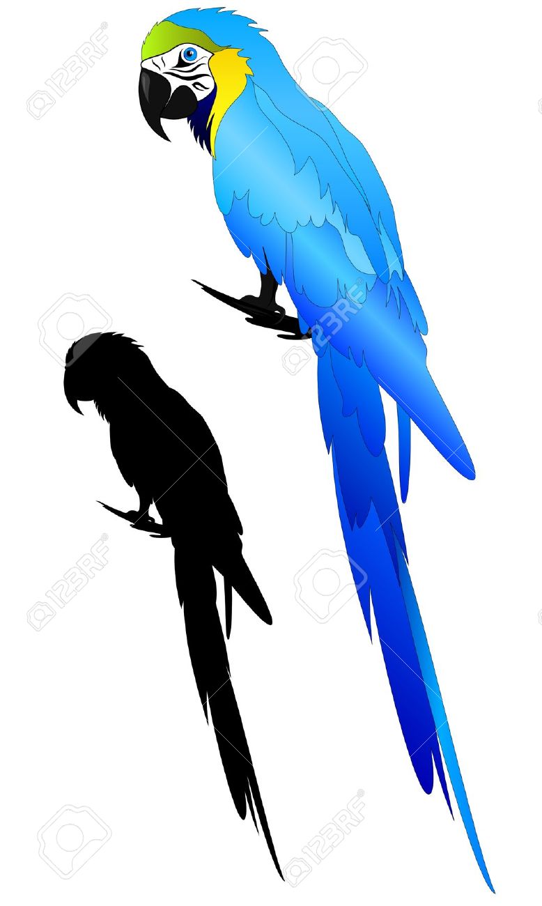 Blue-and-yellow Macaw clipart #4, Download drawings