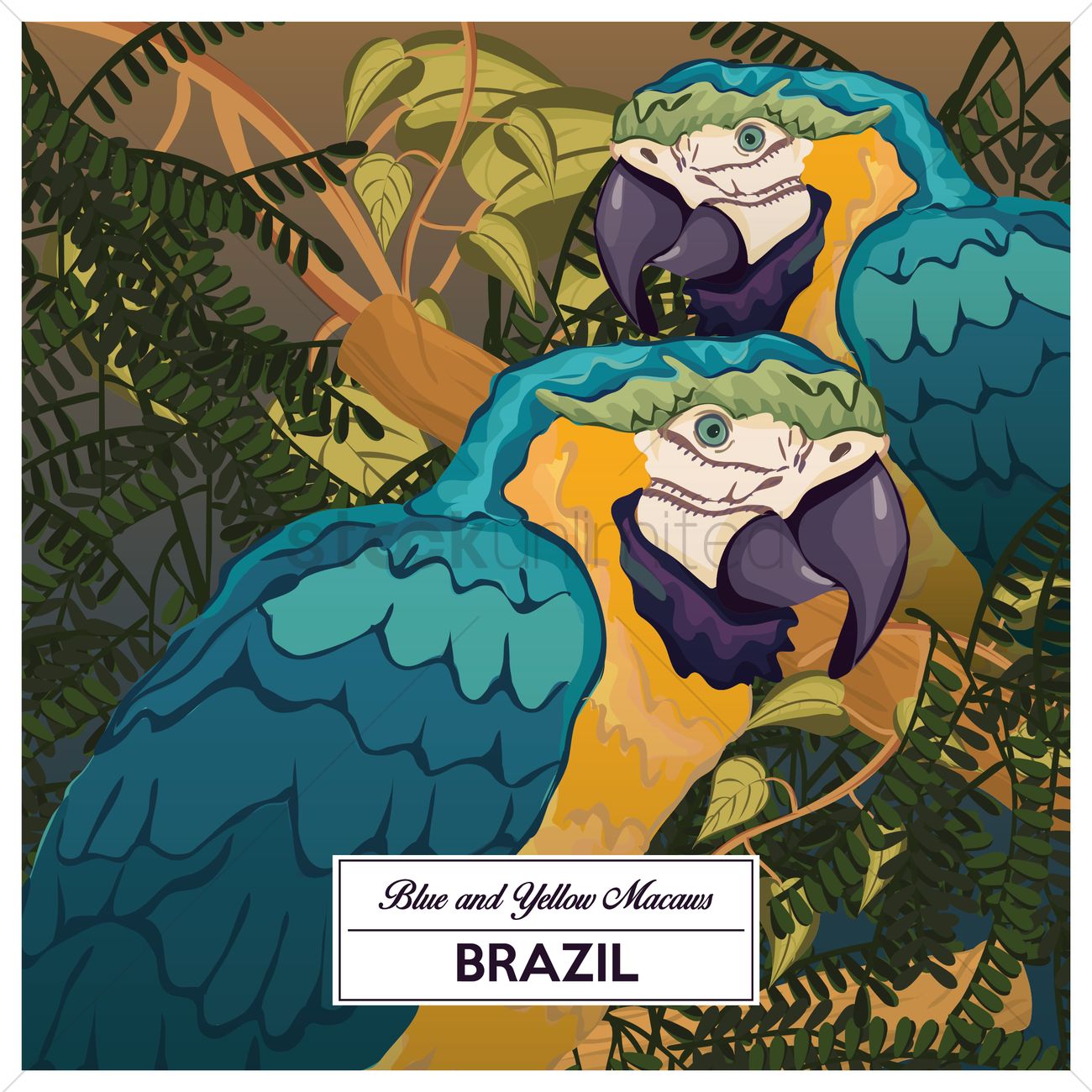 Blue-and-yellow Macaw svg #12, Download drawings