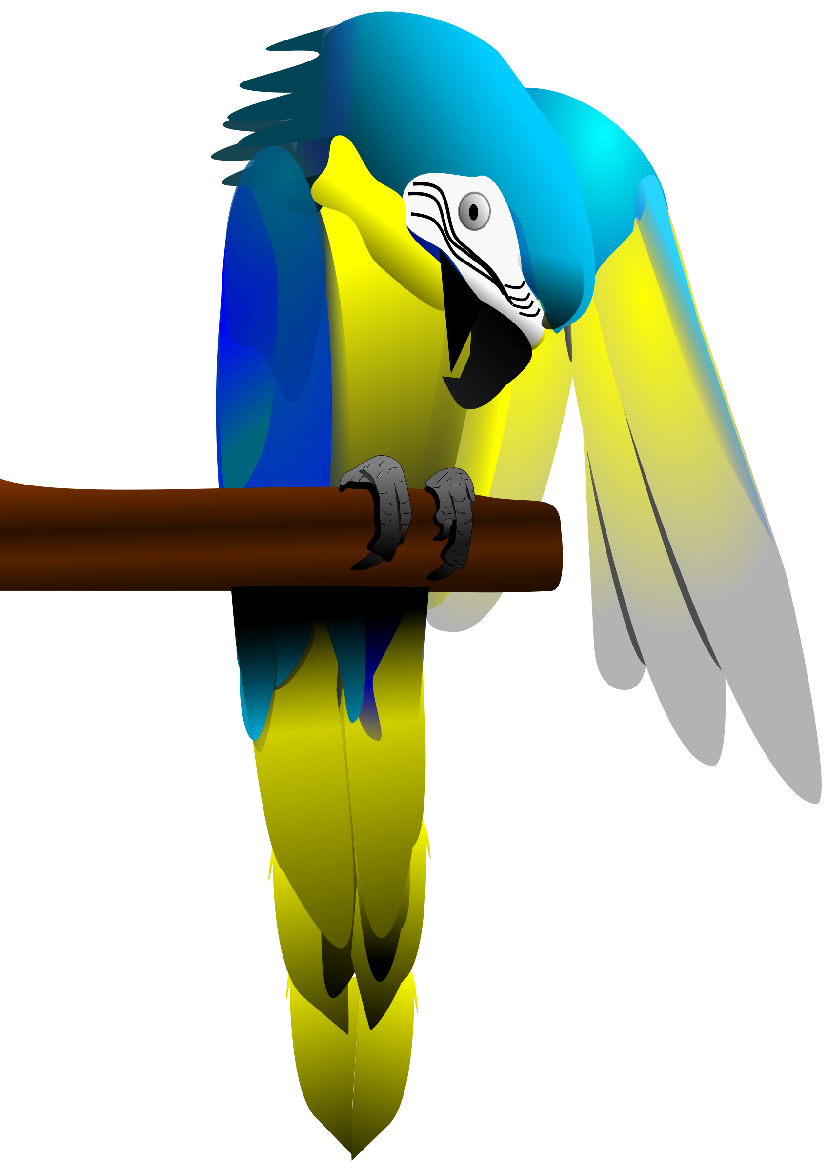 Blue-and-yellow Macaw svg #16, Download drawings
