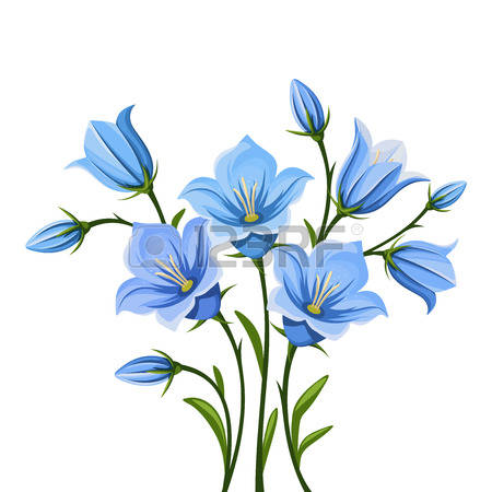 Bluebell clipart #8, Download drawings