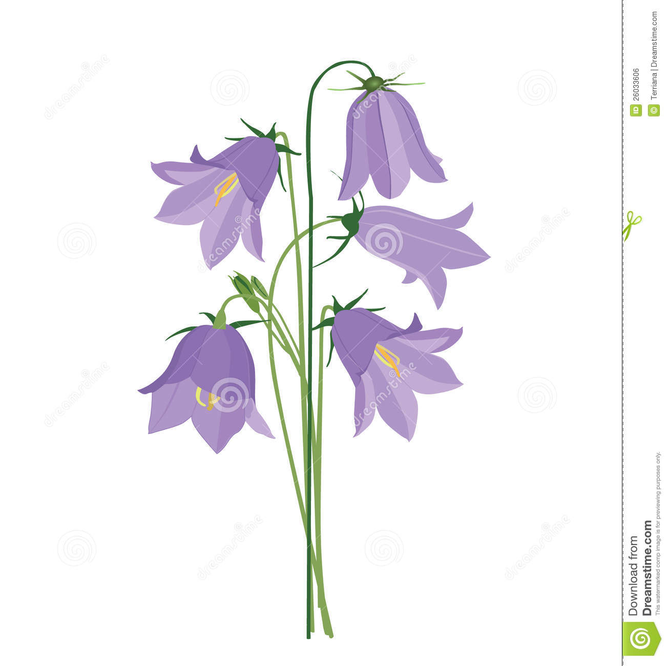 Bluebell clipart #5, Download drawings