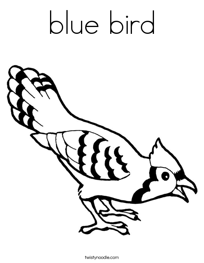 Bluebird coloring #2, Download drawings