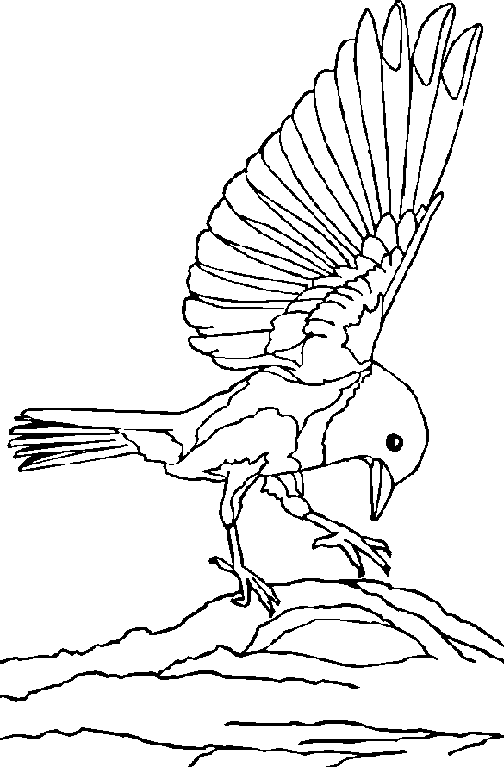 Bluebird coloring #8, Download drawings