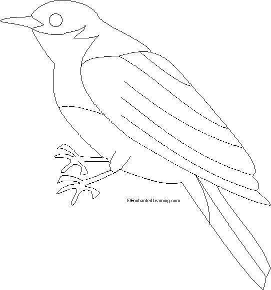 Eastern Bluebird coloring #19, Download drawings