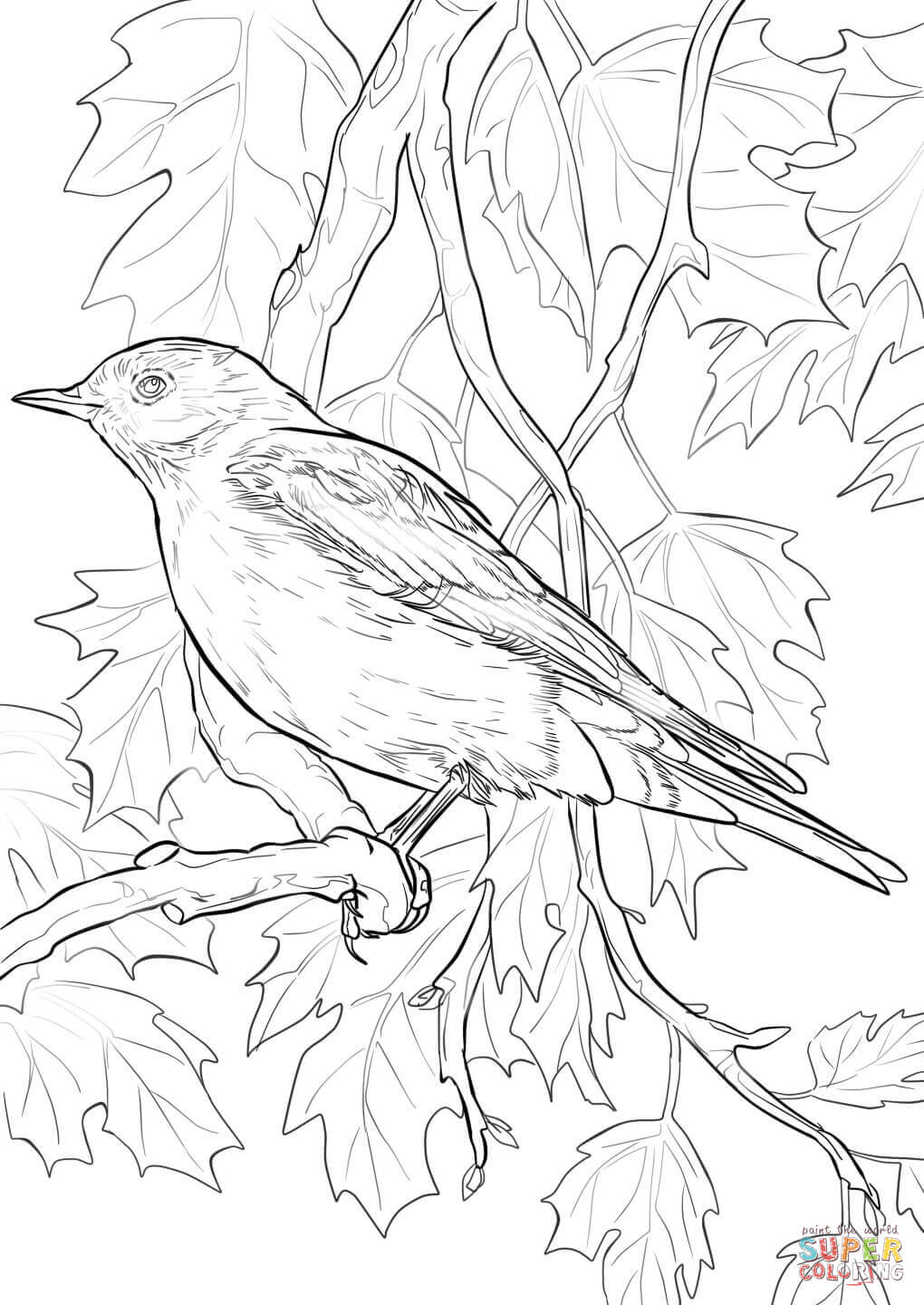 Bluebird coloring #19, Download drawings