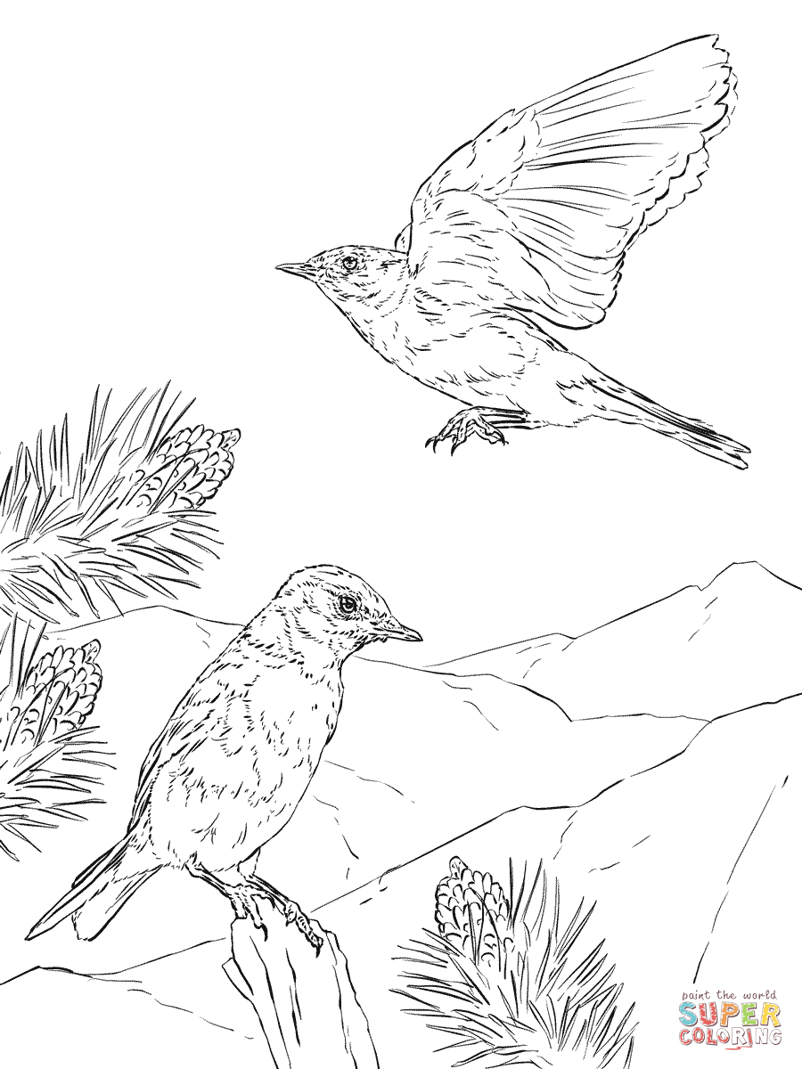 Eastern Bluebird coloring #7, Download drawings