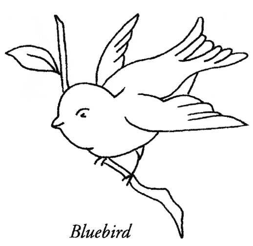 Bluebird coloring #7, Download drawings