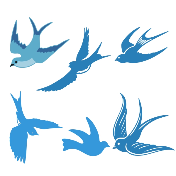 Bluebird svg #15, Download drawings