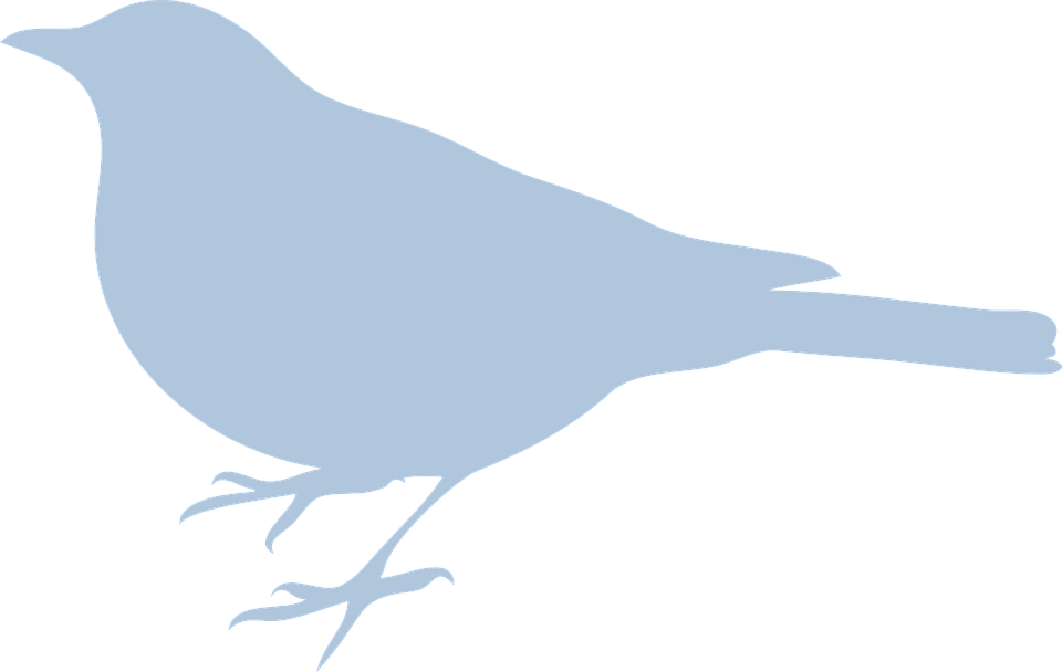 Bluebird svg #5, Download drawings