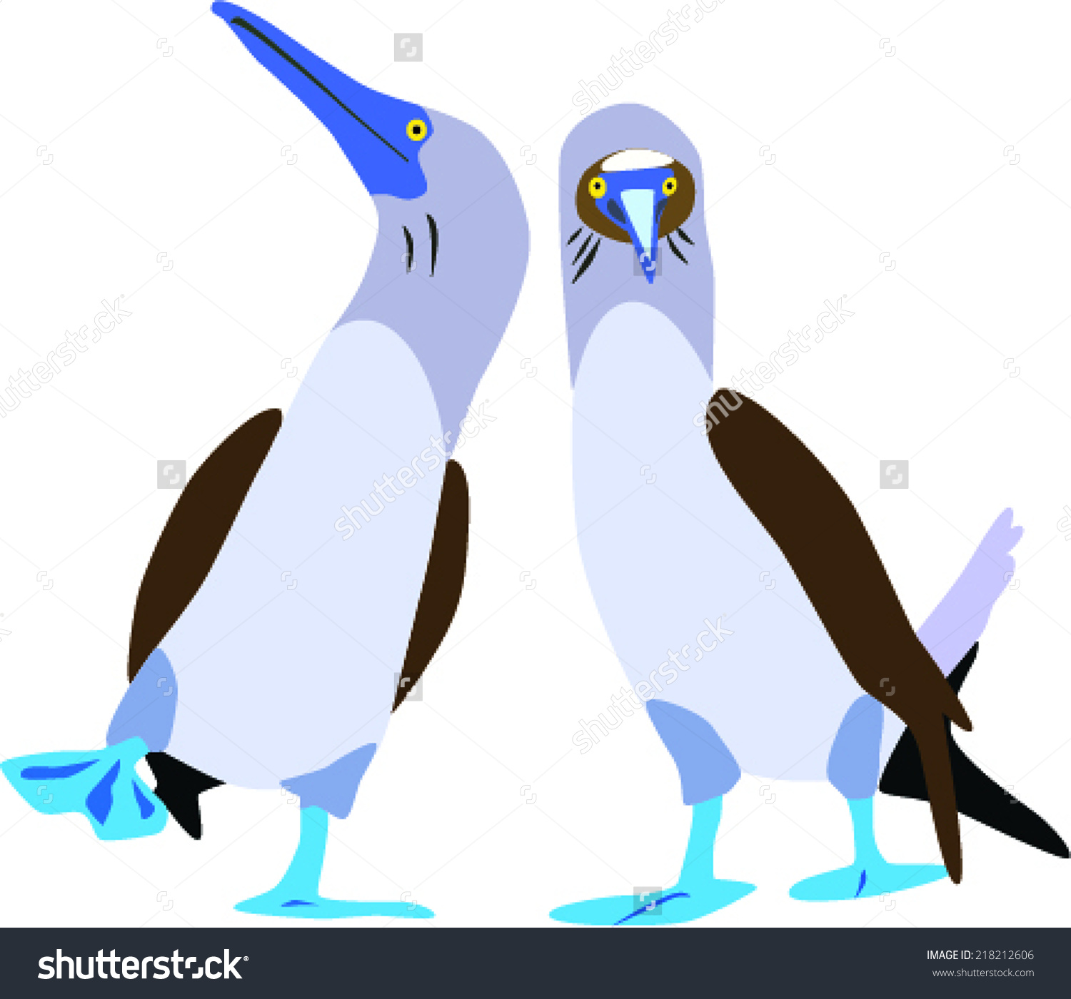 Blue-footed Booby clipart #6, Download drawings