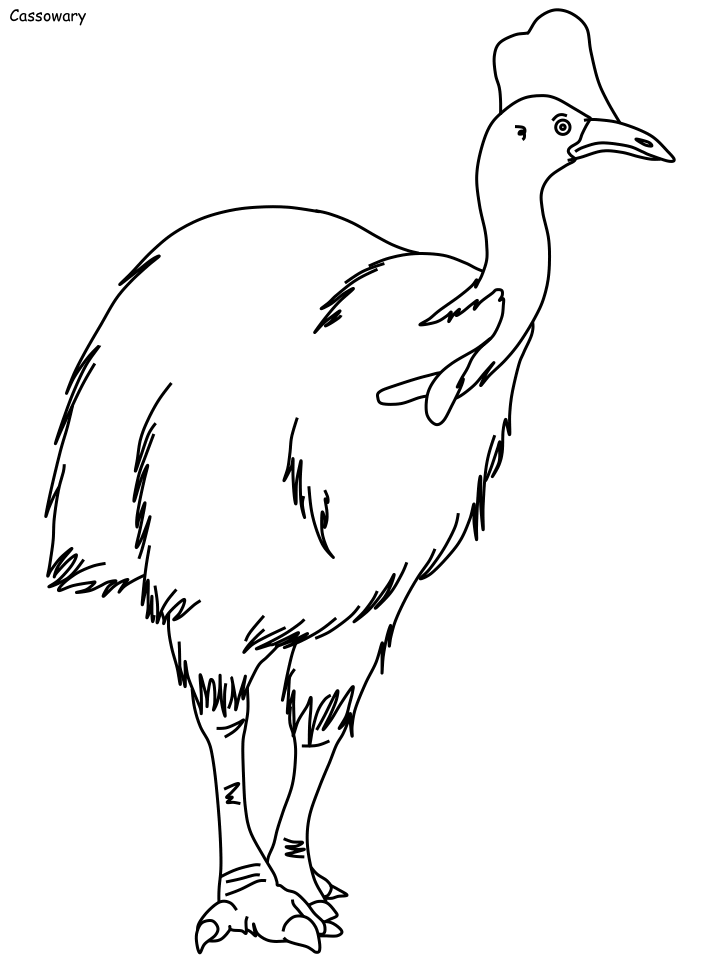 Cassowary coloring #17, Download drawings