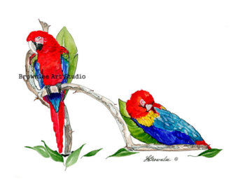 Blue-fronted Parrot svg #3, Download drawings