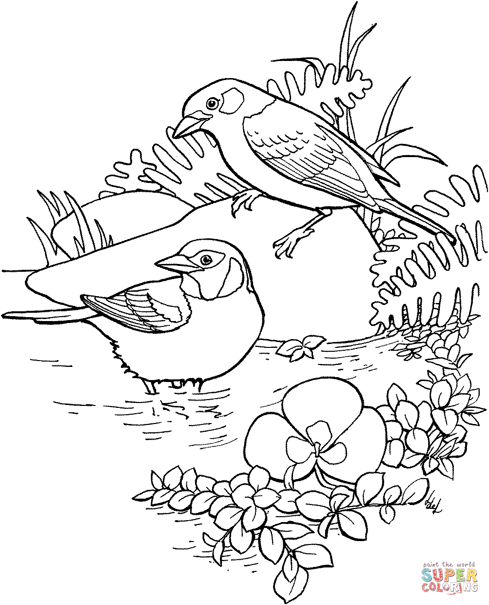Scarlet Tanager coloring #9, Download drawings