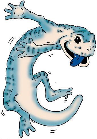 Blue-Tongue Skink clipart #2, Download drawings