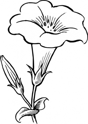 Blume clipart #19, Download drawings