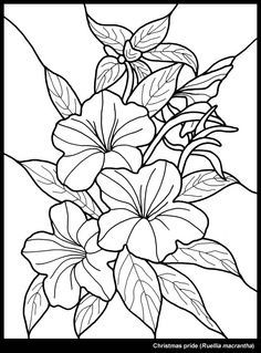 Blume coloring #15, Download drawings