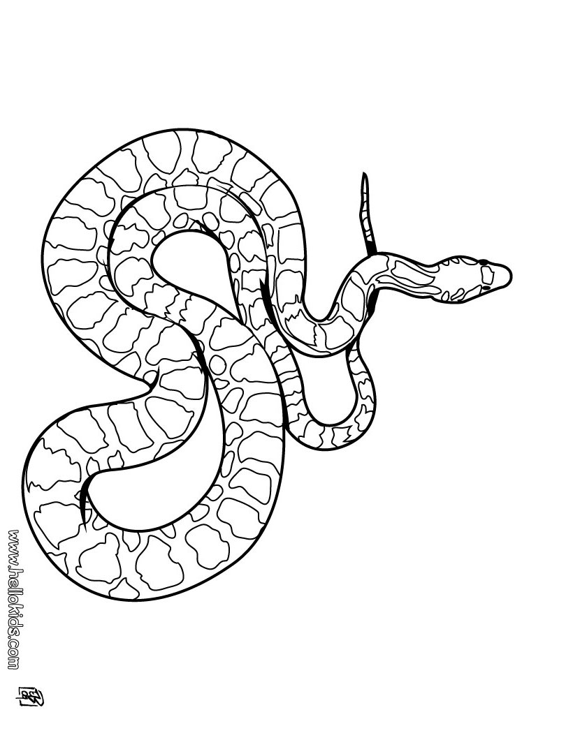 Grass Snake coloring #8, Download drawings