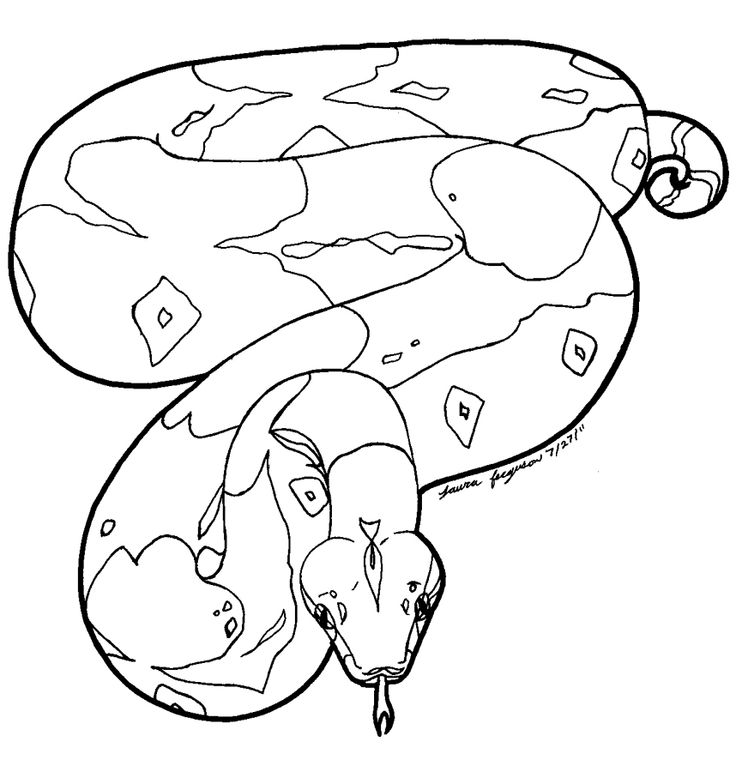 Boa Constrictor clipart #11, Download drawings