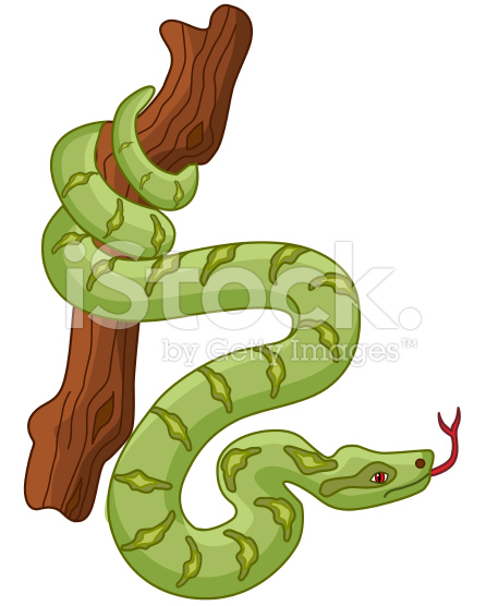 Boa Constrictor clipart #7, Download drawings
