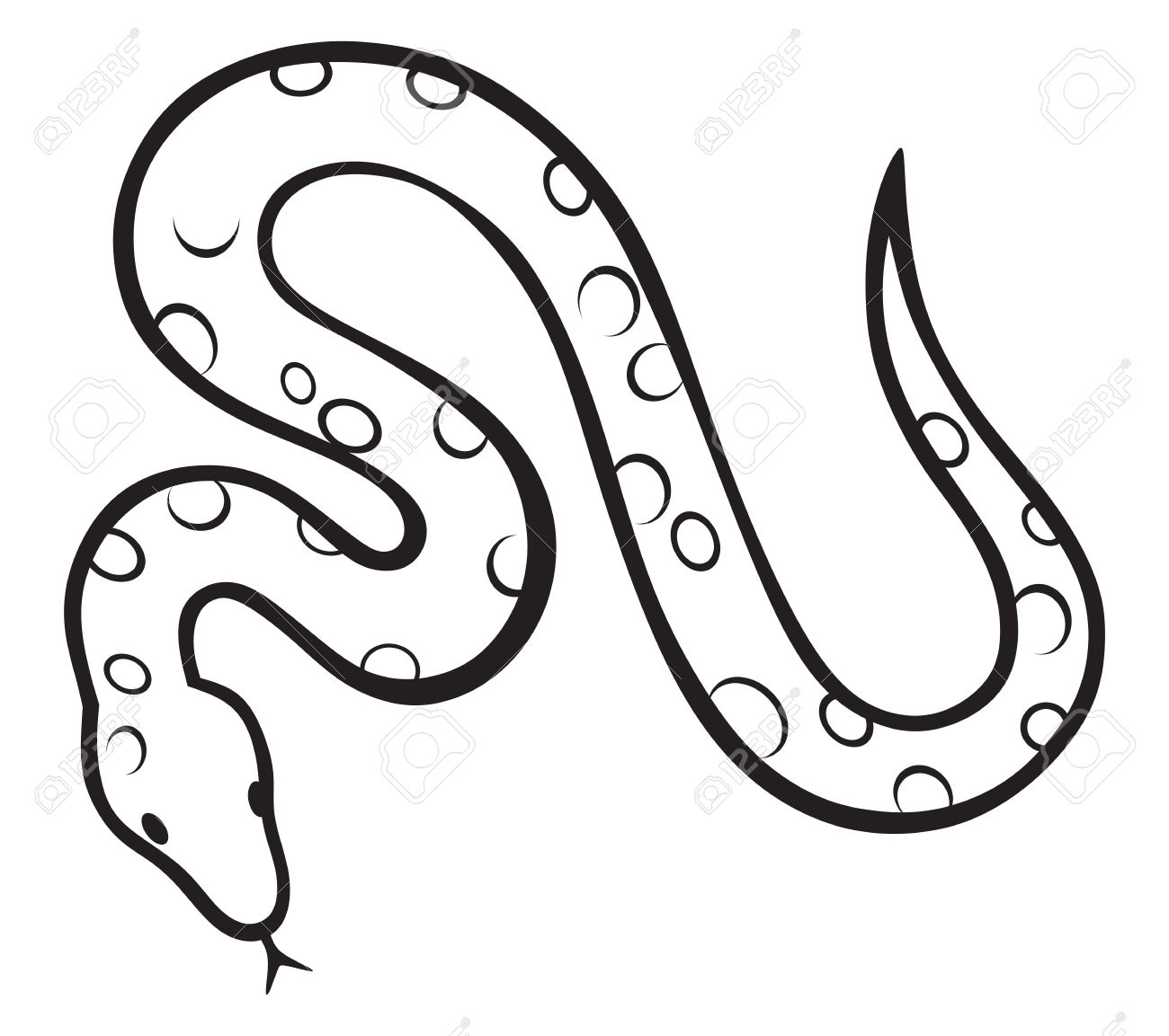 Boa Constrictor clipart #14, Download drawings