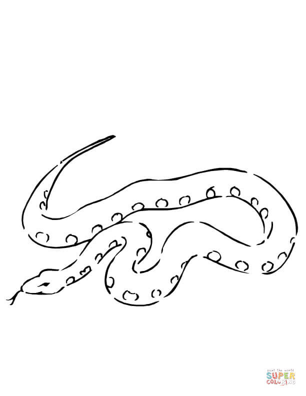 Boa Constrictor coloring #7, Download drawings