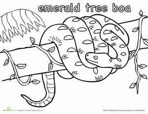 Emerald Tree Boa coloring #20, Download drawings