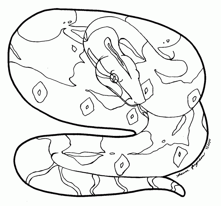 Boa Constrictor coloring #16, Download drawings